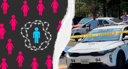 La violencia en comunidades jóvenes: Entendiendo la amenaza de los INCEL en México