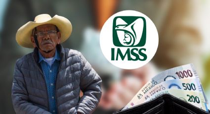 Pensión IMSS noviembre 2025: fecha exacta del pago más el aguinaldo y cómo cobrar el monto actualizado