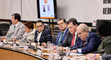 Morena y el Gobierno federal no quieren controlar las elecciones: Comisión presidencial electoral