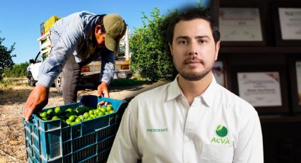 Michoacán: El asesinato de Bernardo Bravo agrava la crisis de seguridad en el estado