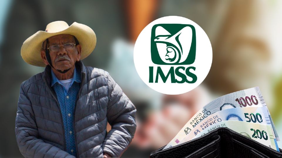 El IMSS aclaró que no se requiere ningún trámite adicional, pues el depósito se realiza de forma automática.