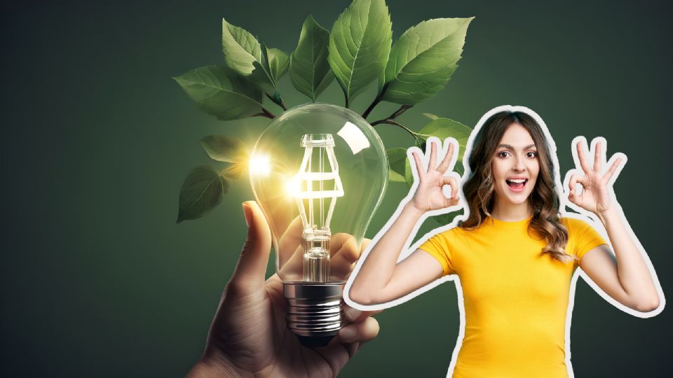 El 21 de octubre se celebra el Día Mundial del Ahorro de Energía, una fecha que invita a reflexionar sobre el uso responsable de los recursos naturales.