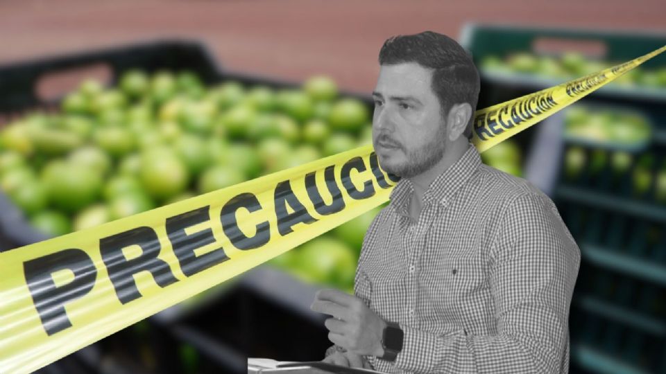 ¿Qué se sabe sobre el asesinato de Bernardo Bravo, líder de limoneros ejecutado en Michoacán?
