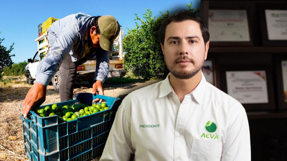 La falta de respuestas efectivas por parte del gobierno en cuanto a seguridad es preocupante.