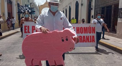 SCJN resolverá si deben consultar al pueblo maya para instalar granjas porcícolas