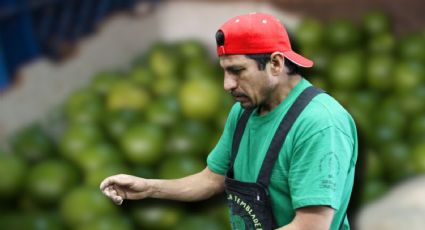 Inseguridad y extorsión golpean a Apatzingán: alcaldesa hace un llamado a mantener la esperanza