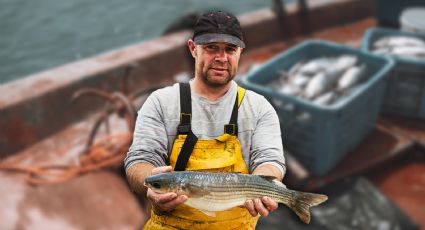 Conapesca anuncia zonas de Refugio Pesquero en Yucatán