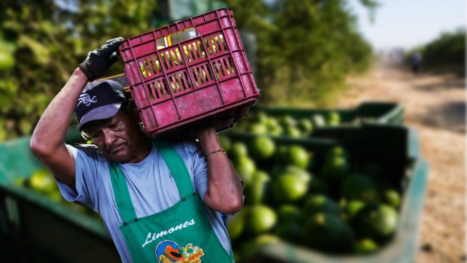 El caso pone en evidencia la crisis estructural del campo mexicano.