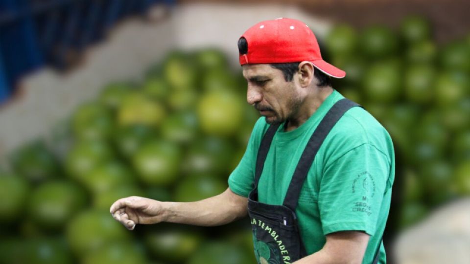 La presidenta municipal de Apatzingán reconoció que sus capacidades institucionales se ven rebasadas, pero reiteró su compromiso con la seguridad.