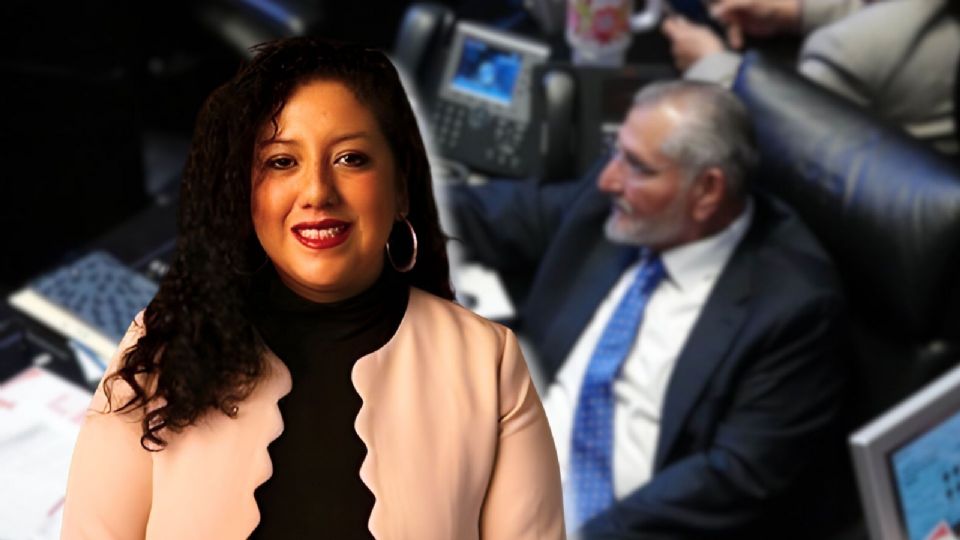 La SNA señala que es fundamental que las autoridades responsables respondan y lleven a cabo investigaciones efectivas contra servidores públicos.