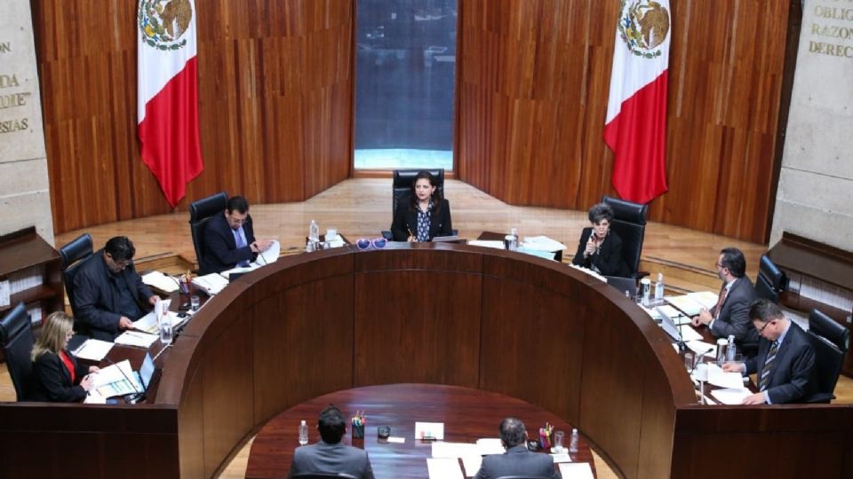 Tribunal Electoral del Poder Judicial de la Federación.