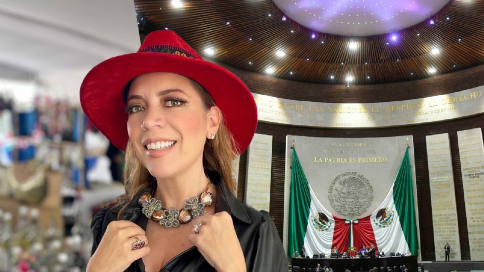 'No vine a hacer turismo parlamentario, fui a asumir un cargo importante en salud', enfatizó Ávila.