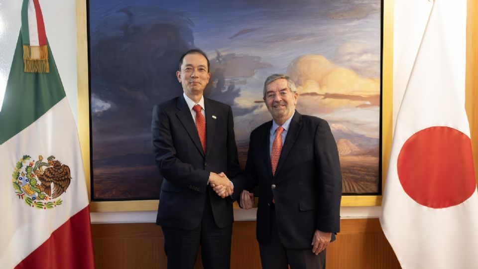 El canciller aprovechó el encuentro para transmitir una felicitación al nuevo ministro de Asuntos Exteriores de Japón, Toshimitsu.