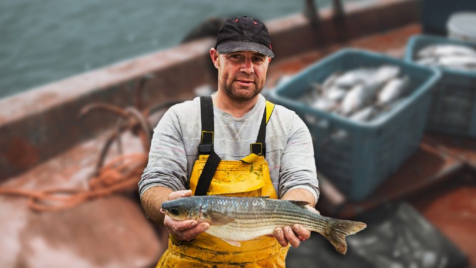 Además de la recuperación de las especies objetivo, se anticipan beneficios ambientales adicionales.