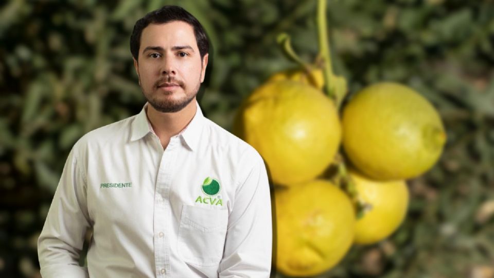 Bernardo Bravo, presidente de una asociación de citricultores del Valle de Apatzingán.
