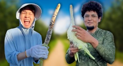 ‘Para que sepa a México’: Japonesa y su esposo mexicano se viralizan al cosechar sus propios chiles y maíz