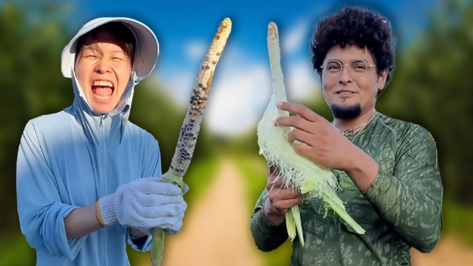Descubre la historia de la japonesa y su esposo mexicano que se viralizaron al cosechar sus propios chiles y maíz.