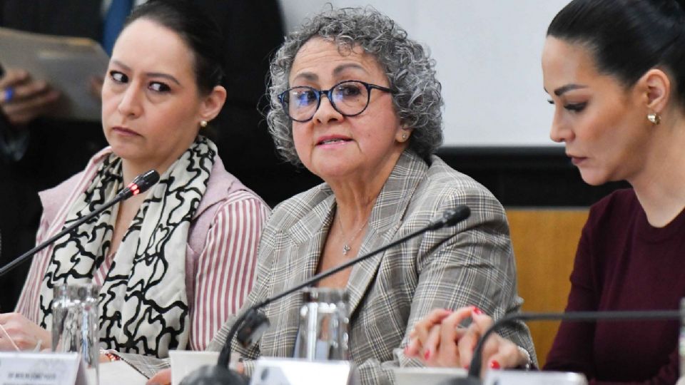 La servidora pública señaló que no es necesario crear más estructuras burocráticas.