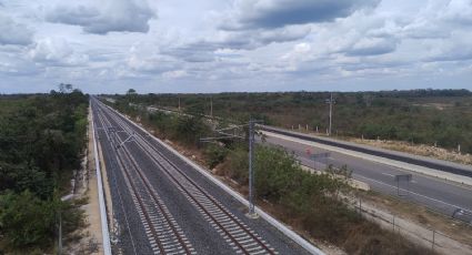 Tribunal Internacional de los Derechos de la Naturaleza reitera que Tren Maya comete ecocidio