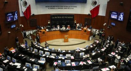Senadora del PRI busca sancionar a diputados y senadores que se duerman en el trabajo
