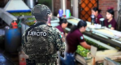 Alerta en Michoacán: extorsión a productores de limón persiste bajo el cobijo de la Sedena