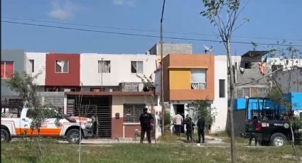 León en estado de desnutrición es hallado en una casa de Juárez, Nuevo León