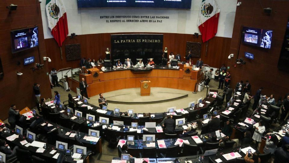 La senadora priista afirmó que esta propuesta fortalece la representación popular.