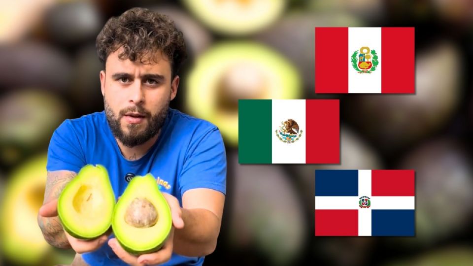 Descubre cuál fue el aguacate que ganó la competencia, así como sus importantes beneficios para la salud.