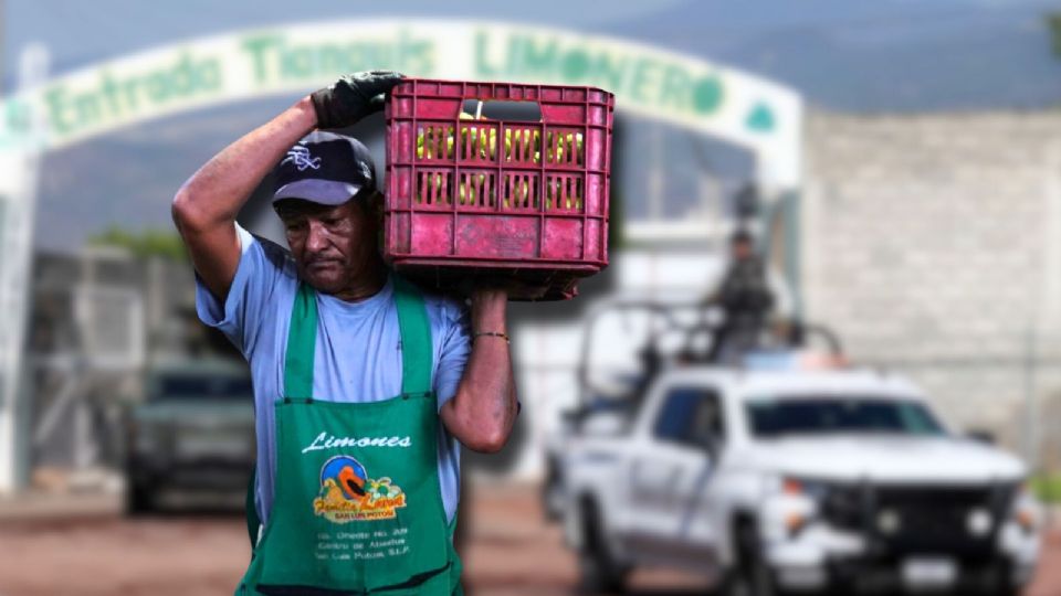 Ejército y Guardia Nacional comienzan operativos en empresas empacadoras de limón en Apatzingán, Michoacán.