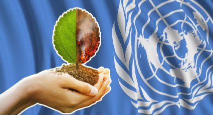 Día de la ONU y Día contra el cambio climático: descubre la historia y el motivo de estas fechas