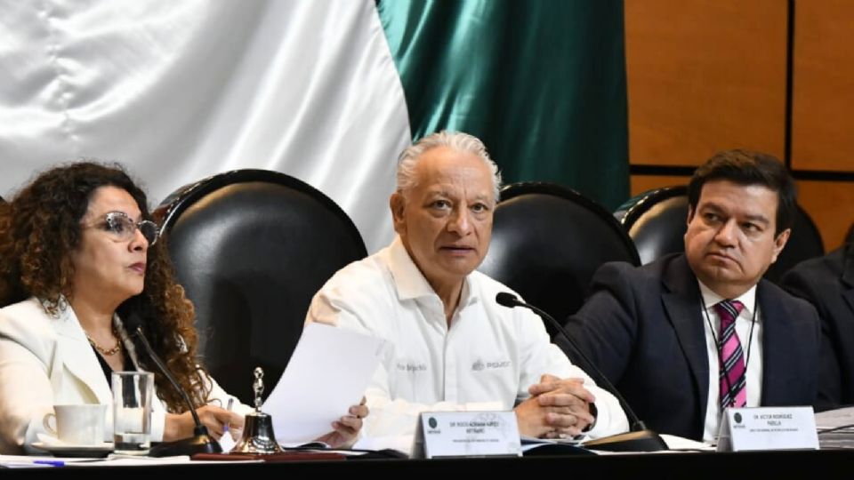 El plan estratégico 2025-2035 prevé la reactivación de toda la cadena de valor, seguir trabajando en campos de producción.