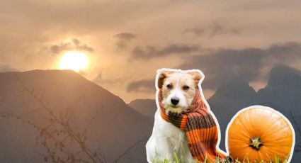 Clima en Monterrey: Lunes 27 de octubre, ¿Cuándo ingresa el frente frío?