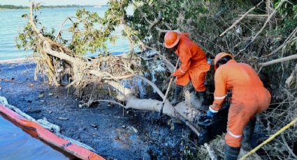 Pemex reporta avance tras fuga en oleoducto en Álamo Temapache, Veracruz