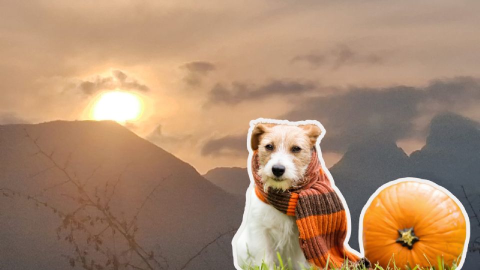 Pronóstico del clima para Monterrey este lunes 27 de octubre: cielo parcialmente soleado, vientos moderados y calidad del aire buena.