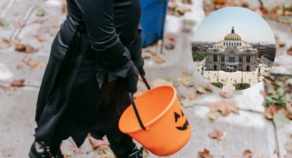 Estas son las mejores colonias de CDMX para pedir calaverita el Día de Muertos 2025