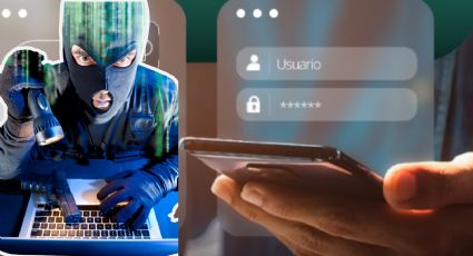 ¿Cómo evitar ser víctima de fraude en páginas falsas del Registro Público Vehicular (REPUVE)?