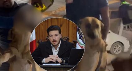Samuel García explota contra hombres que obligaron a un perro a tomar whisky y endurece sanciones