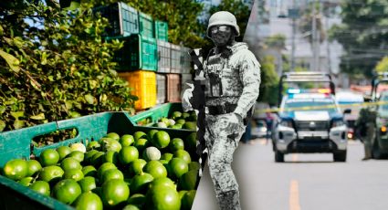 Michoacán: Productores de limón claman por ayuda ante las extorsiones