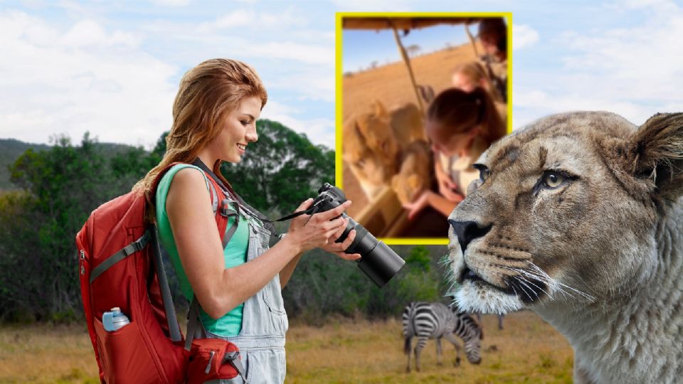 Como usuario de internet, conviene mantener un “ojo crítico”: si ves un video sorprendente de un animal o humano en una situación poco común, vale la pena preguntarse: ¿qué fuentes lo respaldan?