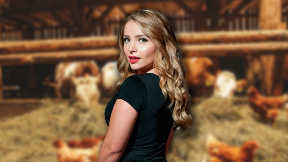 La intérprete formaba parte del grupo conocido como “Los 7”, en el que también estaban Eleazar Gómez y Kim Shantal.