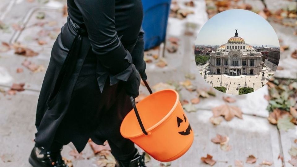 Estas son las mejores colonias de CDMX para pedir calaverita el Día de Muertos 2025