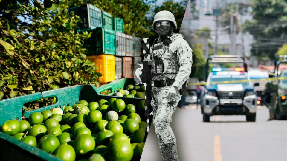 El limonero narró cómo estos costos impactan en su día a día.