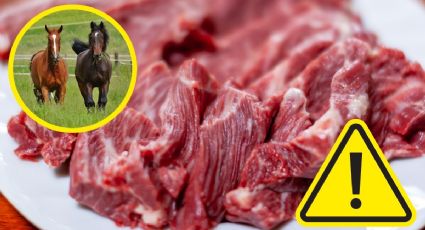 Carne de caballo disfrazada de res: rastro ilegal en Durango desata indignación