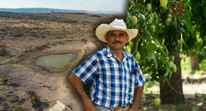 Crisis agrícola en México: ¿Estamos frente al colapso del maíz?