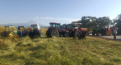 Pérdidas millonarias por falta de acuerdo en establecimiento de precio en la tonelada de maíz blanco