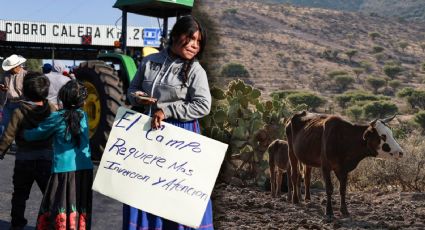México al borde del colapso agrícola: ¿Qué sucede en el campo y qué nos espera?