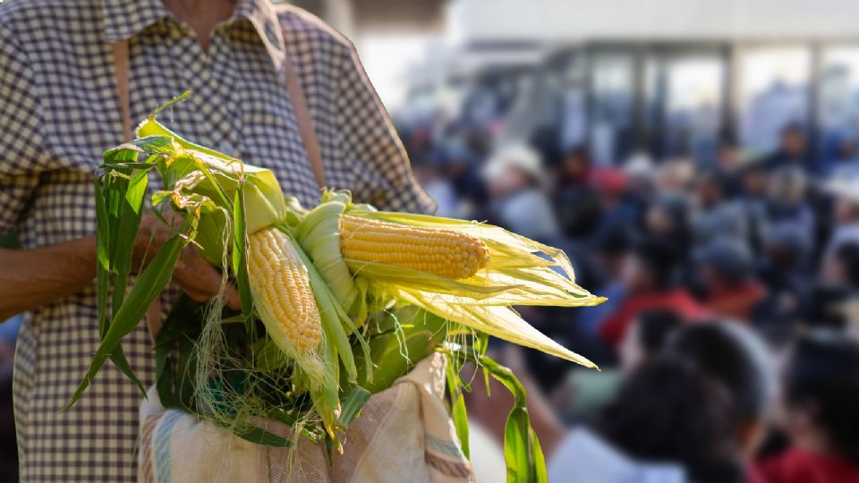La Unión Nacional de Trabajadores Agrícolas enfatizó que la movilización continuará.
