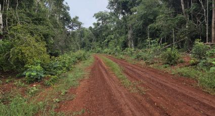 Denuncian al alcalde de Kinchil de intentar despojar de tierras a una familia para supuestamente con