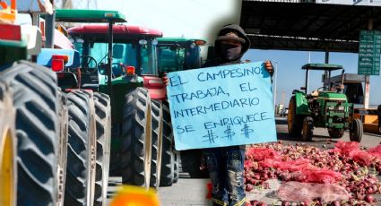 ¿Crisis en el campo? Agricultores de Culiacán luchan por precio justo del maíz