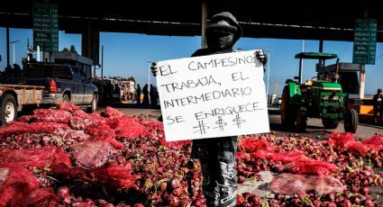 Agricultores de Culiacán exigen mejor precio del maíz: ¿Qué se está haciendo al respecto?